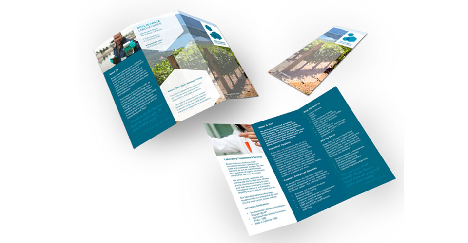 Brelji+Race identity, brochure
