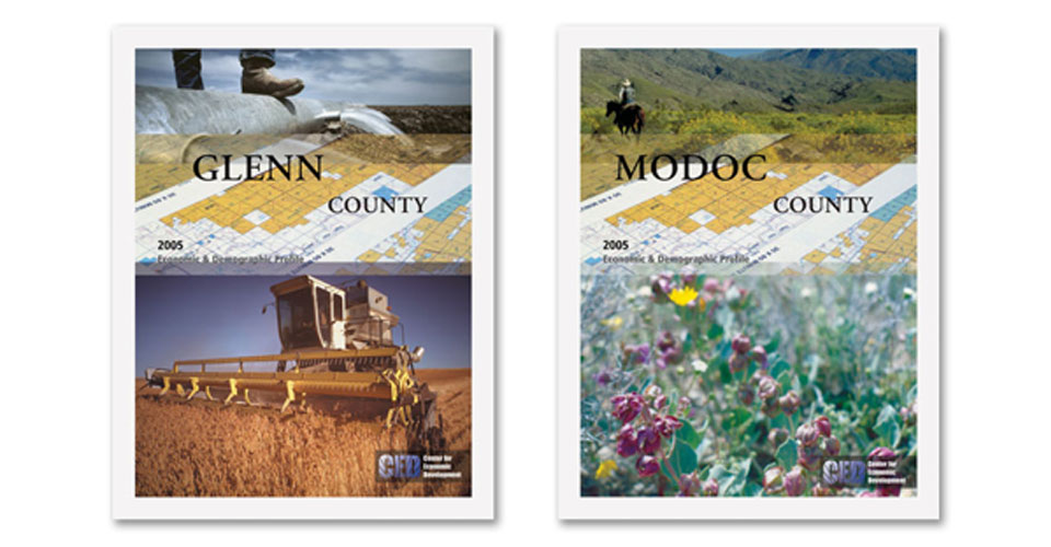 Art direction and layout for annual Economic Development Profile Series books